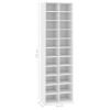 Shoe Cabinet White 21.3"x13.4"x72" Engineered Wood