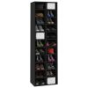 Shoe Cabinet Black 21.3"x13.4"x72" Engineered Wood